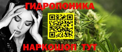 ПСИЛОЦИБИНОВЫЕ ГРИБЫ Новодвинск